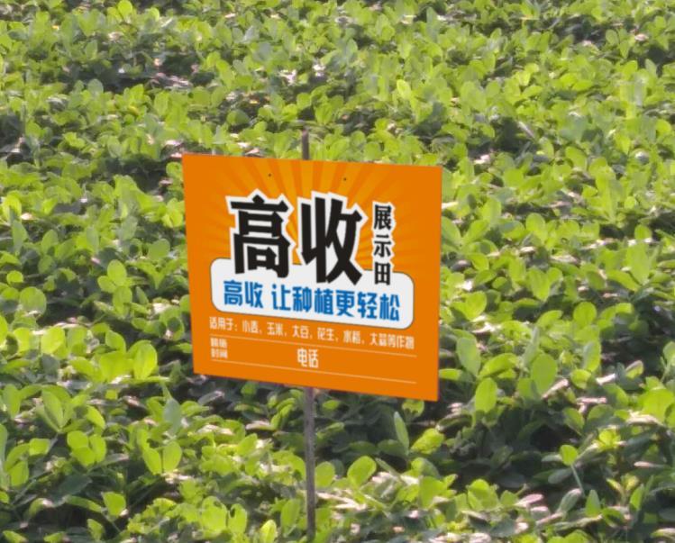世俱杯中国官网入口- 阿尔特塔轮换策略收奇效  